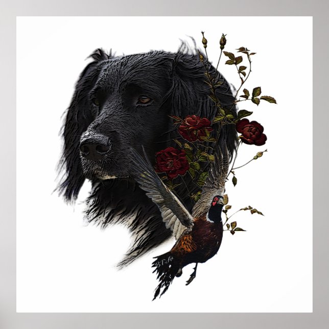 Großer Munsterlander mit Fasan Poster (Vorne)