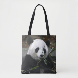 Großer Panda