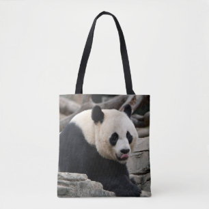 Großer Panda auf Felsen
