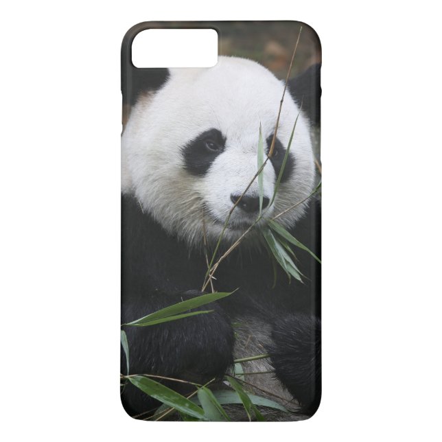 Großer Panda Case-Mate iPhone Hülle (Rückseite)
