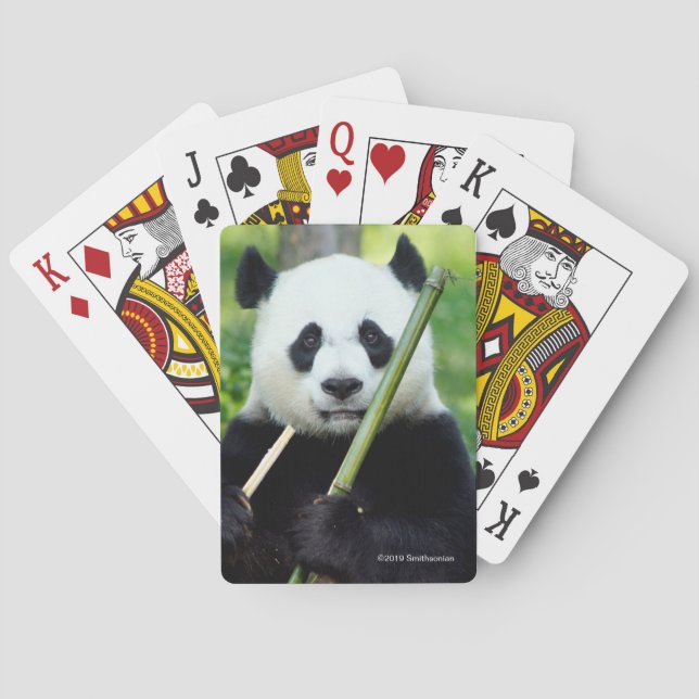 Großer Panda, der Bambus hält Spielkarten (Rückseite)