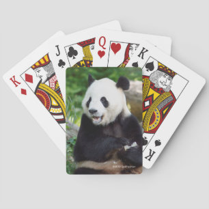 Großer Panda, der Bambus isst Spielkarten