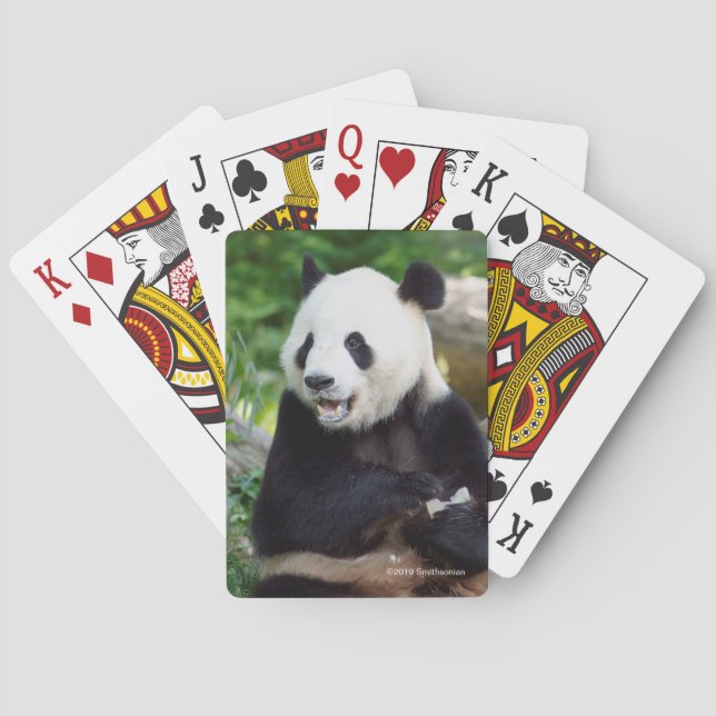 Großer Panda, der Bambus isst Spielkarten (Rückseite)