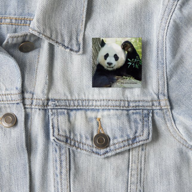 Großer Panda, der gegen Baum stillsteht Button (Beispiel)