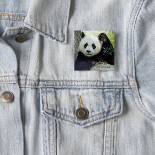 Großer Panda, der gegen Baum stillsteht Button