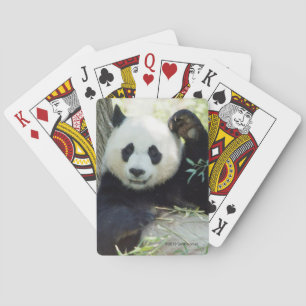Großer Panda, der gegen Baum stillsteht Spielkarten