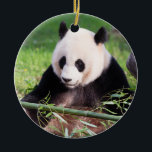Großer Panda Mei Xiang Keramikornament<br><div class="desc">Eingeborener zur zentralen China, riesige Pandas sind gekommen, verletzbare Art zu symbolisieren. Nur 1.864 große Pandas leben in ihrem gebürtigen Lebensraum, während andere 300 Pandas in Zoos und den züchtenden Mitten auf der ganzen Welt leben. Des Smithsonian nationale der Zoo und das Erhaltungs-Biologie-Institut ist ein Führer in der Pandaerhaltung. Seitdem...</div>