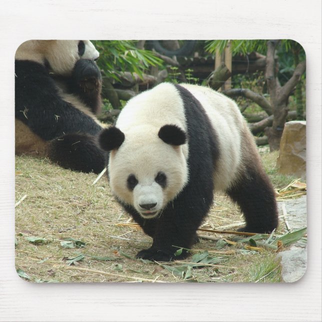 Großer Panda Mousepad (Vorne)