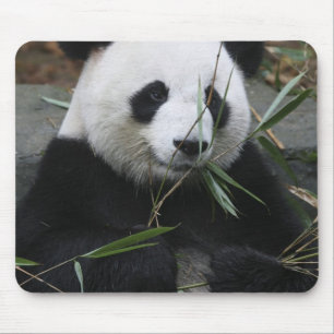 Großer Panda Mousepad
