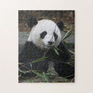 Großer Panda Puzzle