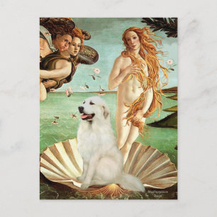 Großer Pyrenäen 1 - Geburt der Venus Postkarte