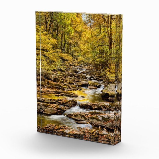 Grosser, rauchiger Nationalpark. Big Creek Fotoblock (Rechts)