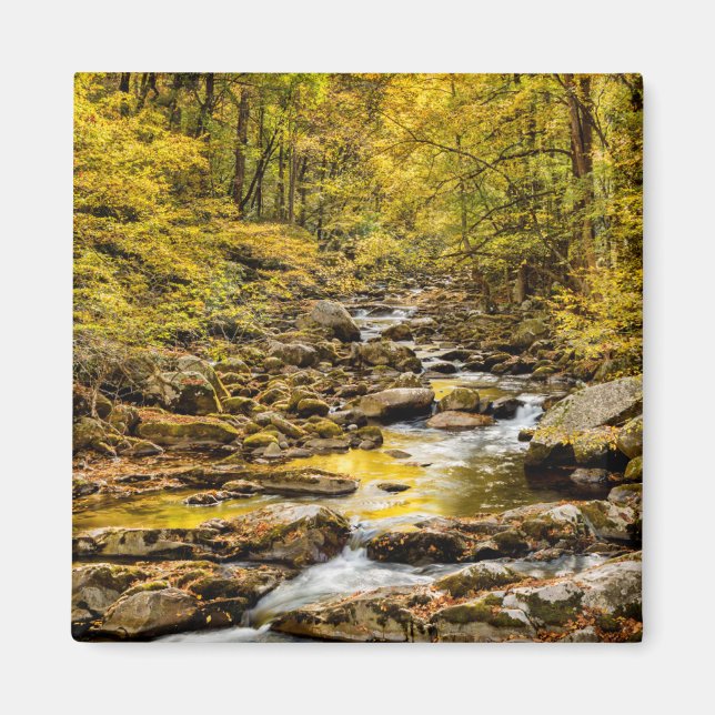 Grosser, rauchiger Nationalpark. Big Creek Magnet (Vorne)