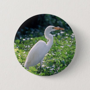 Großer Reiher Button