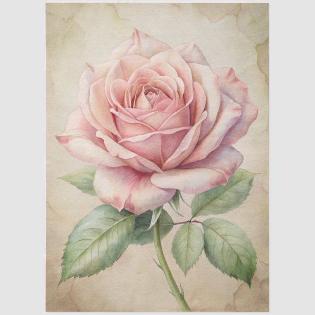 Grosser Rosa Rose Ephemera Decoupage Seidenpapier (Vorderseite)