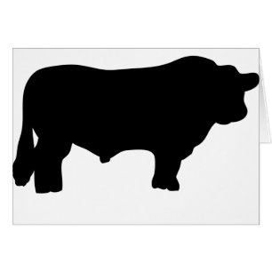 großer schwarzer Angus-Stier