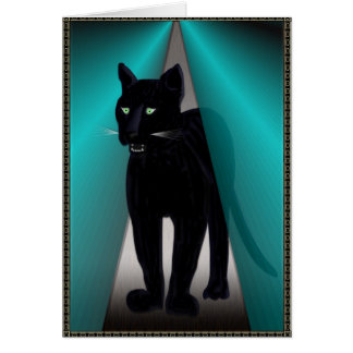 GROSSER SCHWARZER CAT