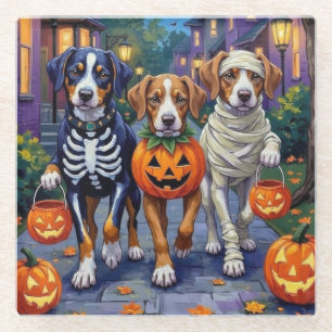 Größer Schweizer Berghund Halloween-Süßigkeiten od Glasuntersetzer