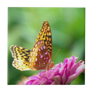 Großer Spangled Fritillary Fliese
