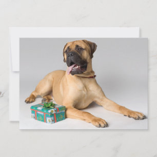 Großer Stammhund mit Weihnachtsgeschenk Feiertagskarte
