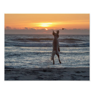 "Großer" Strand-Sonnenuntergang-Foto-lebhaftdruck Fotodruck