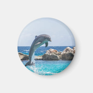 Großer Tümmler Magnet
