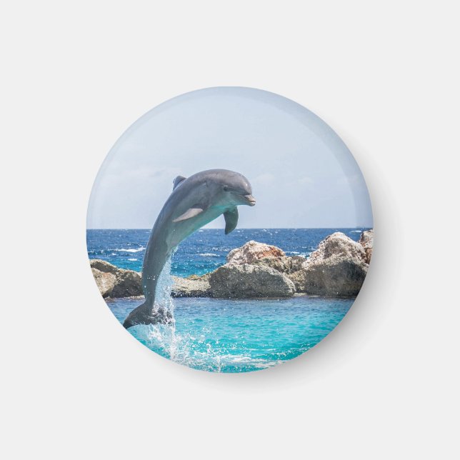 Großer Tümmler Magnet (Vorne)