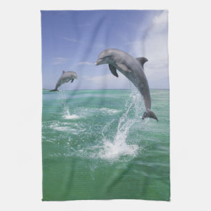 Großer Tümmler Tursiops truncatus Geschirrtuch