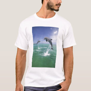 Großer Tümmler Tursiops truncatus T-Shirt