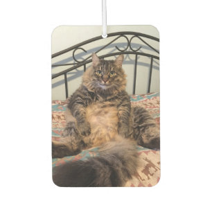 Großer umarmbarer Katzen-Auto-Lufterfrischer Autolufterfrischer