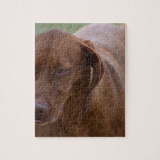 Großer Vizsla Hund Puzzle (Vertikal)