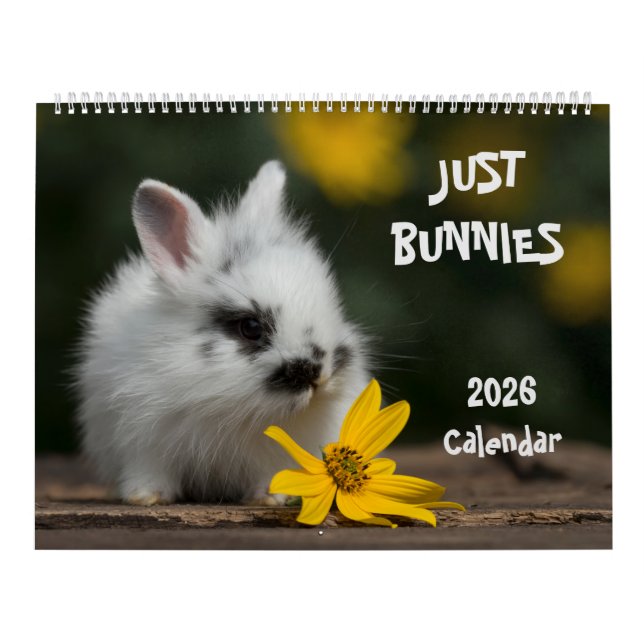 Großer Wandkalender mit Kaninchen (Titelbild)