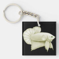 Großer weißer Betta Splendens