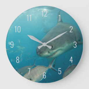 Großer Weißer Hai Nah unter Wasser Australien Große Wanduhr