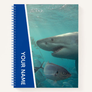Großer Weißer Hai und Fisch Australien, blau Notizbuch