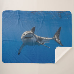 GROSSER WEISSER SHARK SHERPADECKE