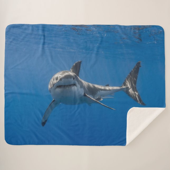 GROSSER WEISSER SHARK SHERPADECKE (Vorderseite (Horizontal))