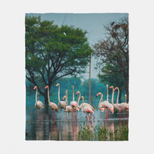 Größere Flamingo Herde in natürlicher Umgebung. Ei Fleecedecke