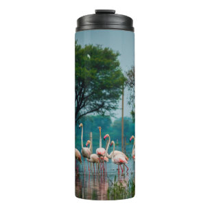 Größere Flamingo Herde in natürlicher Umgebung. Ei Thermosbecher