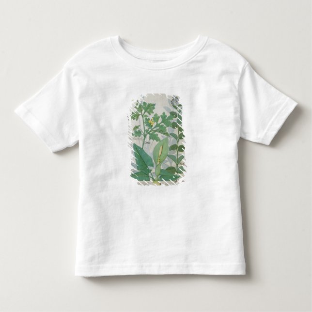 Größerer Celandine oder Mohnblume Kleinkind T-shirt (Vorderseite)