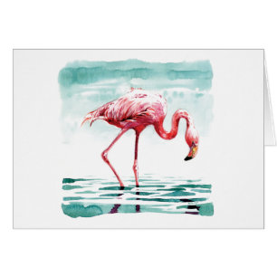 Größerer Flamingo