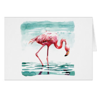 Größerer Flamingo