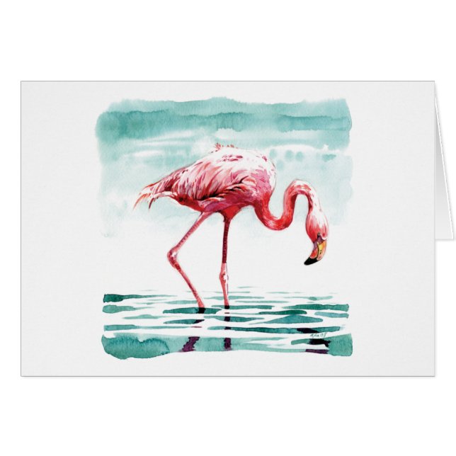 Größerer Flamingo (Vorderseite (Horizontal))