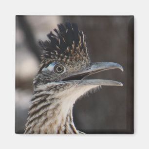 Größerer Roadrunner-Magnet Magnet