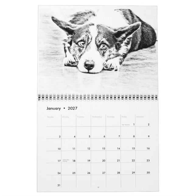 Größerer Schweizer Gebirgshund Kalender (Jan 2027)