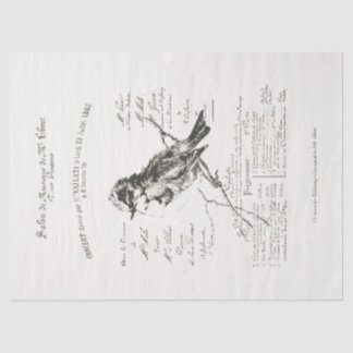 Größeres französisches Musiksalon Bird Script Pape Seidenpapier