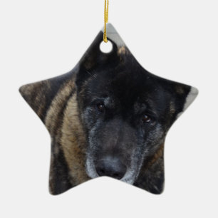 Großes Akita Keramikornament