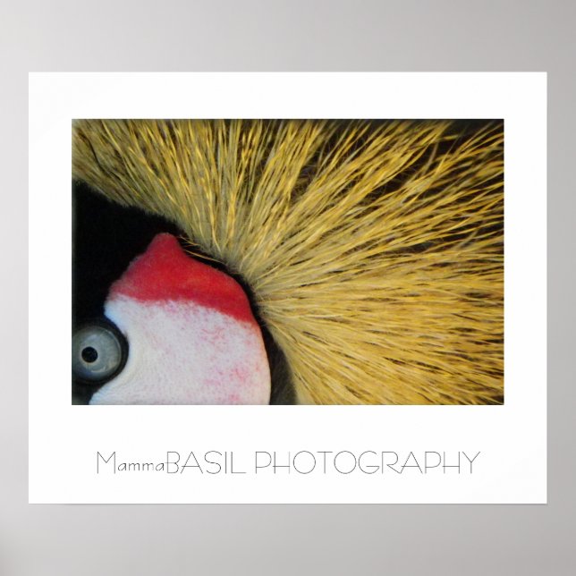 Großes Augenplakat! Poster (Vorne)