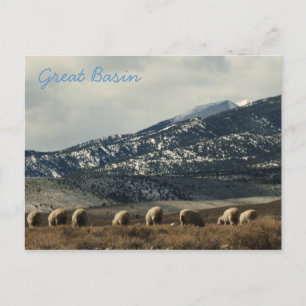 Großes Becken Postkarte