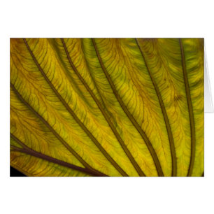 Großes Blatt